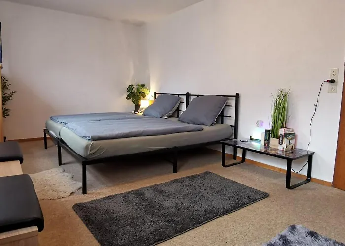Ganze 95Qm Komfort Wohnung Mit Garten, 3 Schlafzimmer, Mit Privater Kueche, Wohnzimmer, Badezimmer, Wc, Gratis Parkplaetze, Wifi, Ruhige Top Lage *